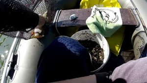 Вот это УЛОВ !!!/Рыбалка на РАКУШКУ в проводку/Проводка на РАКУШКУ