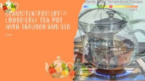 10 Best Glass Teapots of 2022 - Your Buyers Guide - Kitchen Ideas Glass Teapots