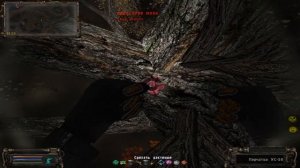 S.T.A.L.K.E.R. Народная Солянка ОП 2.1  : Особый рецепт.  Найти необычное растение.