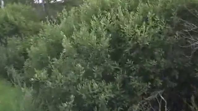 Можайское море и его притоки
