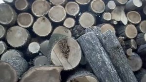 Какие дрова лучше для печи???