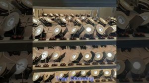 2/3/4 Inch Round Shape LED COB Eyeball Downlight