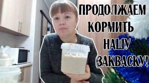 Продолжаем кормить нашу закваску!