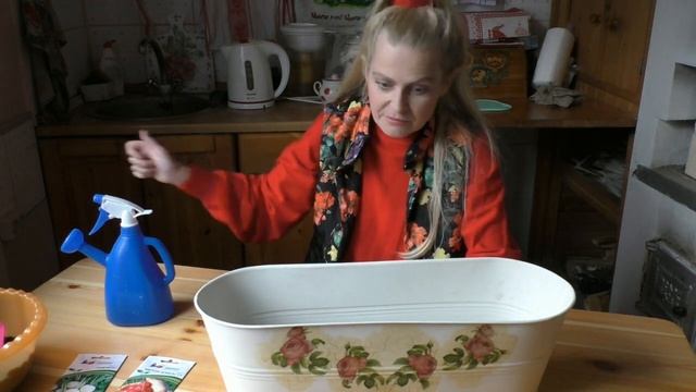 Выращиваем редис дома