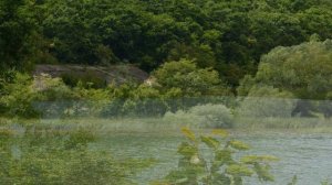 Заброшенное озеро Владимировское