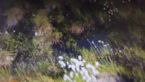 Вилюйские котлы. Часть 4