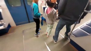 Поездка на метро от Домодедовской до Щёлковской