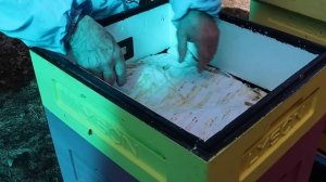 Лучший вариант весенней подкормки пчел.