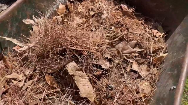 Outdoor Box Turtle Habitat (In 10 STEPS) смотреть онлайн