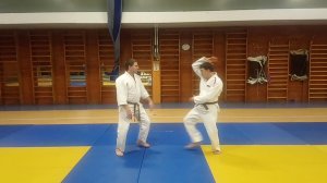 Айкидо в Красноярске: Кокю наге