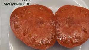 Лучшее. Необычное. Эксклюзивное. Знаменитые Минусинские томаты.