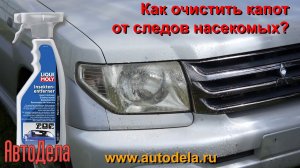 Очищаем капот автомобиля от насекомых составом Liqui Moly Insekten-entferner