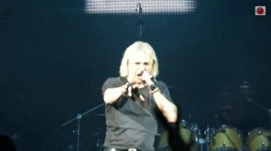 Алиса Звери Волгоград