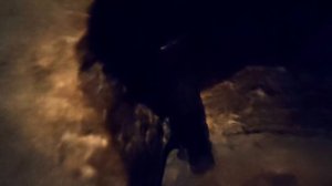 Куда дели МАЯТНИК ФУКО на КРАСНОЙ ПЛОЩАДИ?