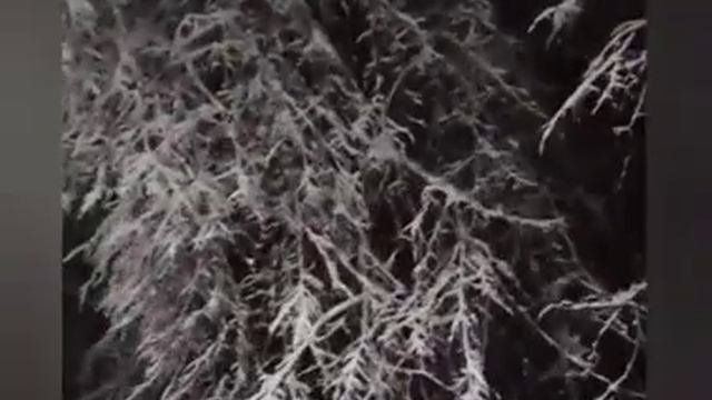 Беги скорее, без оглядки
#василисаголд #домашнеенасилие #кухонныйбоксер #абьюз