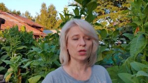 Почему Не Растут Цыплята? Ищу ответ