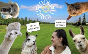 АЛЬПАКА ПАРК