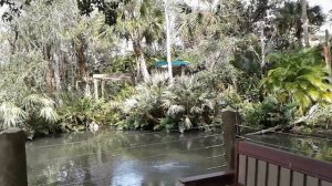 Две Ольги.  Ольга Брендовна. Прекрасная Американка