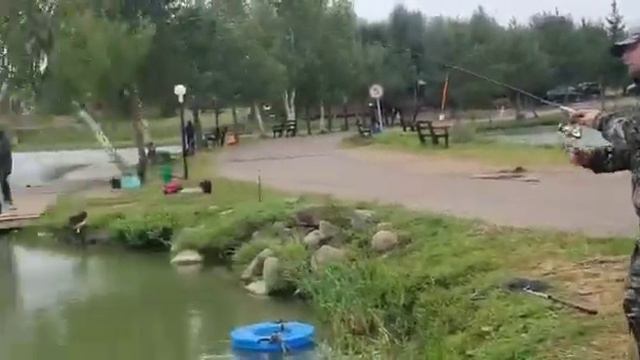 6-ой хвост форели в зачете до обеда