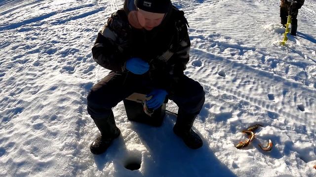 1400км от дома. Приполярный Урал. Рыбалка на Севере в ХМАО. Мечта рыбака.