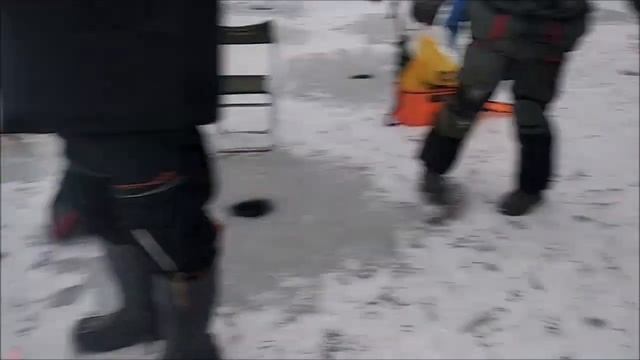 Форель ловится как на активные, так и на пассивные снасти. Клёвое место, Лосиный остров, нижний. смотреть онлайн