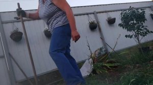 Кубань Выселки ТВ