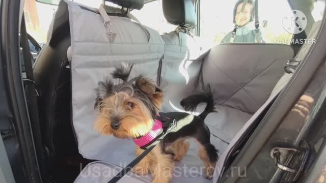 Гамак для перевозки собак в машину. автогамак для собак. чехол для перевозки собак в машине смотреть онлайн