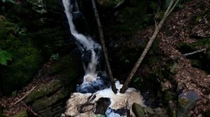 Гороскоп на начала июля