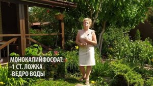 ЛИЛИИ ? Правильный уход после цветения / Садовый гид