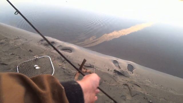 Рыбалка на Оби 24.08.2022 - 26.08.2022г. смотреть онлайн