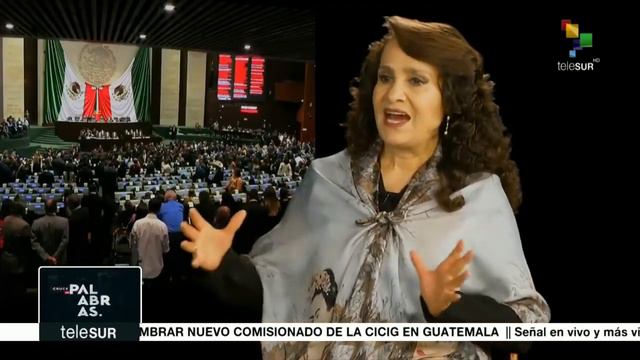 Luis Hernández Navarro entrevista a Dolores Padierna смотреть онлайн