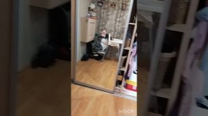 влог вечер с новым реборном Машей у меня появился Реборн