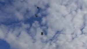 Игра Моих Голубей. Результат за 4 ГОДА. Азиаты, узбеки, турки и метисы по ним.