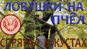 Снимаю ловушки на пчёл с кустов и деревьев.  Прячу ловушки  до следующего сезона