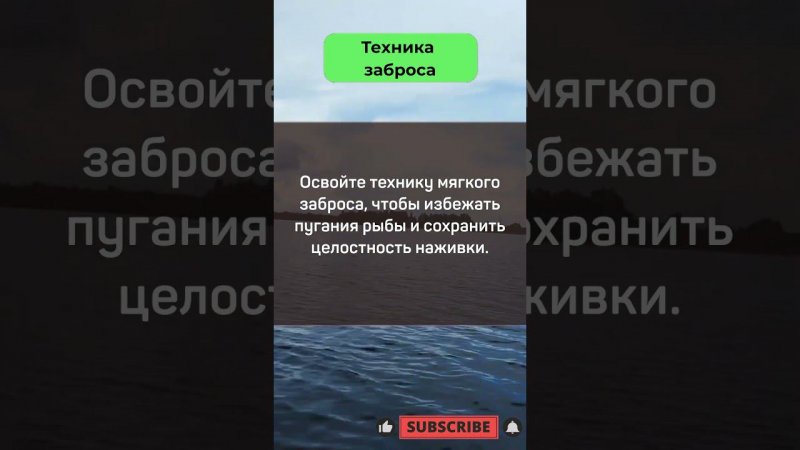 Советы ловли на поплавок #fishing #рыбалка #рыбалкасдимономкруглыйгод #природа #прикормка