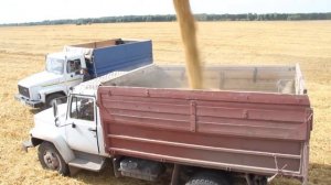 Стань студентом Вологодской ГМХА - получи профессию зооинженера