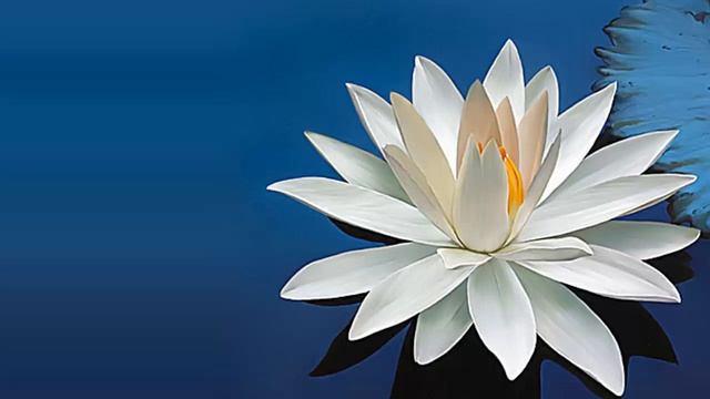 Медитация "Исцеление финансового потока через квантовое поле" смотреть онлайн