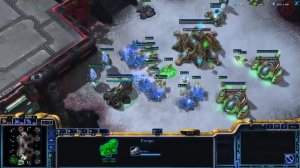 Starcraft Stream