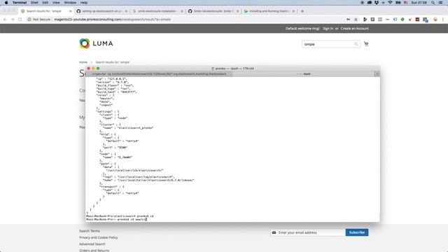Magento 2 Elasticsearch - install and configure смотреть онлайн