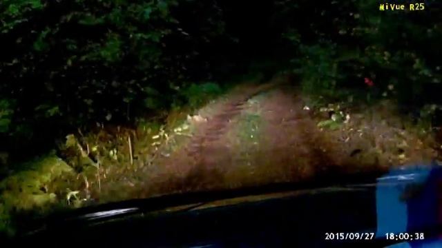 Уронила колечко,бабушкины песни смотреть онлайн