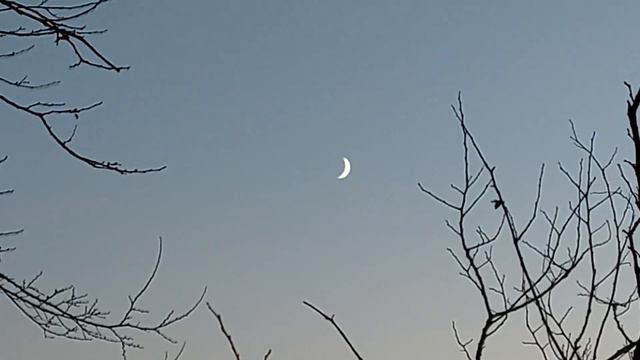 Растущая Луна. Тавричанка 29.10.2022 ч.1 смотреть онлайн