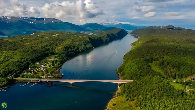 Beautiful Relaxing Music - Stop Overthinking, Stress Relief Music, Sleep Music, Calming Music #61 смотреть онлайн