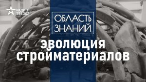 От костей к железобетону: как изменилось строительство за 40 тысяч лет? Лекция Елизаветы Лихачёвой.