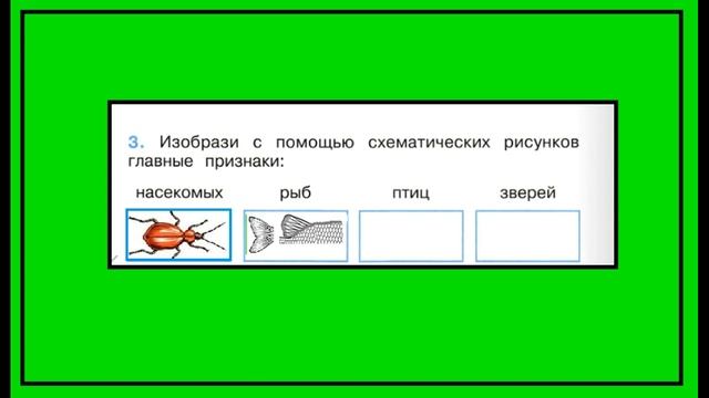 Какие бывают животные 3 задание. Окружающий мир 2 класс рабочая тетрадь. Главные признаки