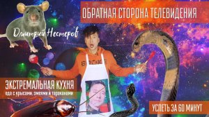 экстремальная кухня с тараканами и крысами / телевидение - обратная сторона / Дмитрий Нестеров