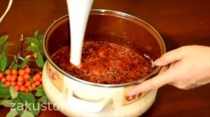 Рецепт домашней пастилы из красной и черноплодной рябины - как приготовить полезный десерт