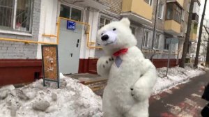 Аниматор на день рождения белый Ютуб Мишка. Гигантский белый медведь