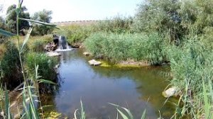 Мормышинг - в этой луже полно окуня!.mp4