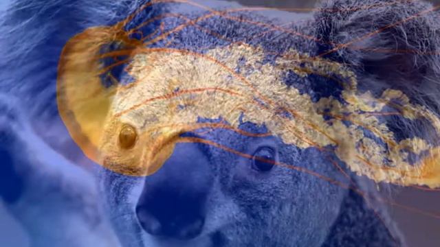 Редкие Фото смотреть онлайн