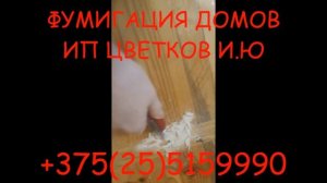 Беларусь фумигация домов и древесины газом фосфин.Фумигация от точильщика,шашеля,короеда,древоточца